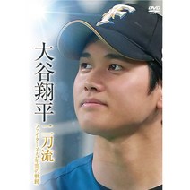 이도류 오타니 쇼헤이 니혼햄 5년 일본 기록 DVD