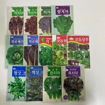 루아데코 잎채소 씨앗 모음 상추 모듬쌈 텃밭만들기 채소키우기, 적로매인