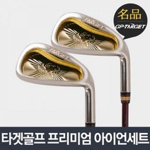 타겟골프 PREMIUM (프리미엄) 남성 카본 8아이언세트 카본, 옵션:[샤프트강도] R