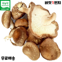 표고버섯채 가격정보 판매순위