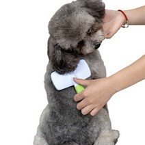 강아지 빗 엉킨털 정리 슬리커브러쉬 웰시코기 푸들 비숑, 핫핑크