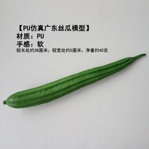 수세미 오이 호박 모형, b