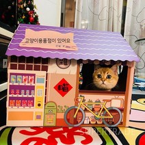 공간박스캣타워 베란다 고양이빌라 책장 DIY 소형