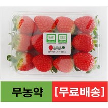 무농약 GAP 논산 설향 딸기 1kg (500g 2팩)
