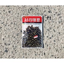 서리태콩 30g 소포장 규격