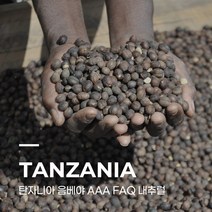 [생두] 탄자니아 음베야 AAA FAQ 내추럴 1kg