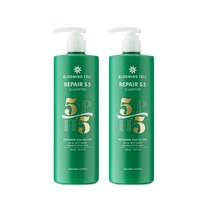 블루밍셀 약산성 탈모방지 예방 완화 비듬 두피 산후 여성탈모 샴푸500ml, 2개