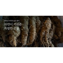 자연산 생산자직판 손질 세척 향긋한 서산 황토 노지 햇 노지 노지냉이 냉이 500g