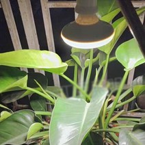 BONJOUR LED 식물등 1구 형 성장등 생장등 태양광을 모방하다, 1