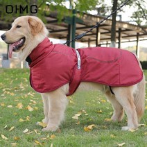 애견커플룩 OIMG 큰 개 따뜻한 래브라도 반려견의류 후드 기모올인원 강아지따뜻한, green, 2XL