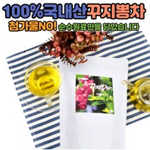 꾸지뽕 꾸지뽕잎 무카페인 물대신 마시는 여름 티백차 100티백 중년 여성 노인 여자 엄마 카페인없는 맛있는 TEA 국내산 100% 부작용없는 순수 첨가물넣지않는 구지 구찌뽕잎 침출 건강차 어르신 부모님 할머니 주부 직장인