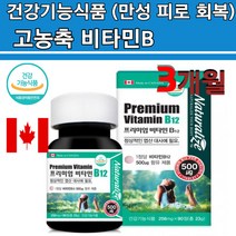 메틸코발라민 비타민B12 엽진대사 초소형타블렛 영양제 B군 채식주의자 고함량 고농축 vitamin b12 활성형 복합체