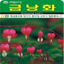 AR 금낭화(20립) 2019년 귀한 종자 씨앗, 1개