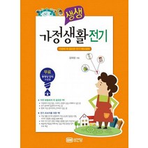 생생 가정생활전기:가정에 꼭 필요한 전기 매뉴얼북, 성안당, 김대성 저