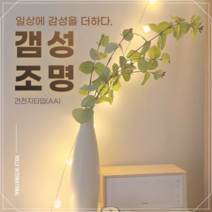 [8차 재입고] 갬성조명 차박조명 차박전구 앵두전구 인테리어 전구 크리스마스 전구 꼬마전구 차박용품 감성캠핑 감성캠핑조명, 1개, 6m 40구