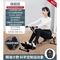 노젓는운동기구 가정용로잉머신 홈트로잉머신 접이식로잉머신 조정운동기구 에어로잉