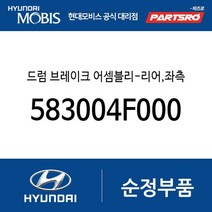 드럼 브레이크 어셈블리-리어 좌측 (583004F000) 포터2 포터2 특장
