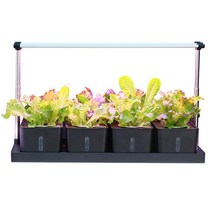 토양 재배 장비 가정용 수경 재배 식물재배기 베란다, Z305 지능형 스탠드 베이지 컨티넨탈 버전