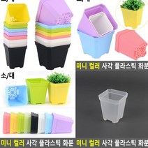 플라스틱화분 소 투명 상자텃밭 나무화분 미니텃밭 빈화분 옥상텃밭 독일토분 야외화분 블루베리화분 텃밭상자 소형화분 후리지아화분 작은화분 대형플라스틱화분 플라스틱화분 대형화분 예쁜화분 인테리어화분 이쁜화분 베란다상추키우기 홈가드닝 베란다정원 집에서상추키우기 실내텃밭 빈티지