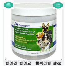 생식능력부족한 강아지 체력증진 돕는 연어오일 사료안먹는강아지 애완영양제