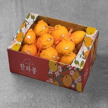 제주 한라봉, 1개, 실속 5kg