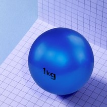 베어플 요가 필라테스 토닝볼 1kg, 블루, 1개