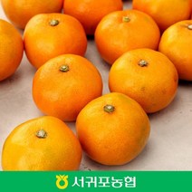 (서귀포농협) 농협 제주 서귀포 타이벡 감귤 5kg / L / 11bx