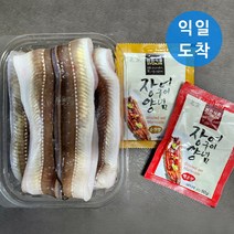 통영 손질 자연산 바다장어 특대 + 소스 2종, 2kg (4~6미), 1개
