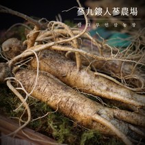 국내산 금산인삼 5년근 6년근 인삼 수삼 750g 무료세척 난발삼 원수삼 선물용 삼계탕용 요리용 인삼주용, 일반, 선택5 뿌리많은 인삼 중