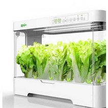 가정용 스마트팜 상추 채소재배기 상추키우기 실내 재배기