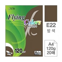 플라잉칼라 삼원 특수지 120g A3 밤색 1포(10장) a4복사용지/더블에이/a3용지/a5용지/종이컵/화이트보드/무한잉크프린터/물티슈/색연필/독서대, 단일 종이/파일 사이즈
