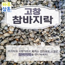 (당일배송 무료배송)고창 참바지락 3kg 5kg 10kg 15kg (해감완료)(쿠팡 도착 예정일 관계없이 주문 시 다음날 도착 입니다.), 1개