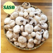 양송이 파지 못난이 비품 2kg 국내산 산지직송