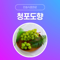 [한솔식품원료] 청포도향 (Greengrape Flavor) (액상 Type) [30g/50g/100g/1kg/5kg/10kg], 100g, 1개