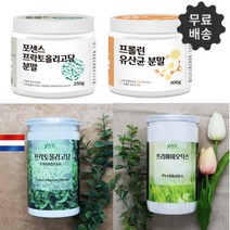 신 프리바이오틱스 프락토올리고당 이눌린 자일로 갈락토올리고당 유산균분양 성분 효능, 5-2프리바이오틱스 400g 2통