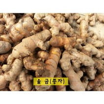 굵고 싱싱한 울금 종자 생울금 10kg, 대중10kg