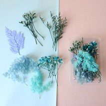 건식 코아 드릴 엔진 날 코어 추천 자연스러운 진짜 말린 꽃 영원한 꽃을 위한 건조 식물 DIY 향기로운 양, 08 H