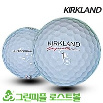 커클랜드 시그니처 3피스 A-급 로스트볼 16개
