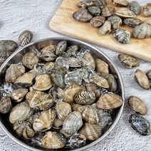 [식품의즐거움] 해감완료 자연산 고창 바지락 2kg 3kg 모음, 02. 바지락 3kg