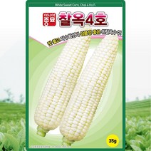 찰옥4호옥수수 씨앗 35g 이삭이 크고 맛좋은 간식용 풋옥수수 옥수수씨 채소종자, 단품