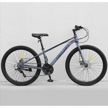 ( MTB 산악자전거 ) 26인치 입문용 크로스컨트리 자전거 21/24단, 21단, 스포크 휠 - 그레이