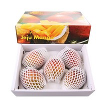 농장직송 고당도 제주산 애플망고 3kg, 1박스, 애플망고 3kg(5~6과)