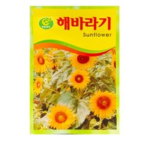 SN월드 중앙꽃씨 씨앗, 중앙꽃씨-해바라기