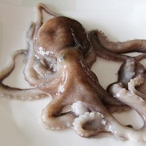 국내산 생물 낙지3미, 단품