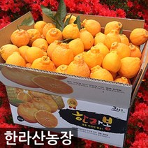 한라산농장 하우스 한라봉 10KG 중과 40~48과수 홍보용 -불만시 무료반품-, 노지 한라봉 10KG 중과(40~48과수) 홍보용