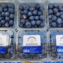 칠레산 생 블루베리, 블루베리 750g (125g X 6팩)
