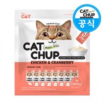바이캣 캣찹 닭고기와 크랜베리 [14g x 10개입] 고양이 기능성 츄르간식, 상세페이지 참조, 상세페이지 참조, 상세페이지 참조
