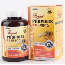 로얄 프로폴리스 이뮨 강화 항산화 환절기 고함량 캐나다 플라보노이드 영양제
