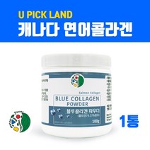 캐나다 저분자 피쉬콜라겐 가루 어린콜라겐c 펩타이드 수용성콜라겐 어류콜라겐 분말 파우더 생선비늘 1000달톤이하 연어콜라겐 먹는콜라겐 히알루론산 피부 이너뷰티 효능 직구 직수입 식약처 검사필, qnsakftm, vjFod-dlrs01
