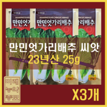 미래종묘 만민 엇갈이배추 씨앗 (25g) X3세트 - 23년생산, 3개